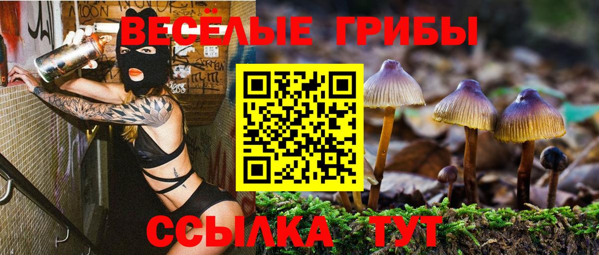 Елизово  Галлюциногенные грибы Psilocybine cubensis  Вход с VPN 
