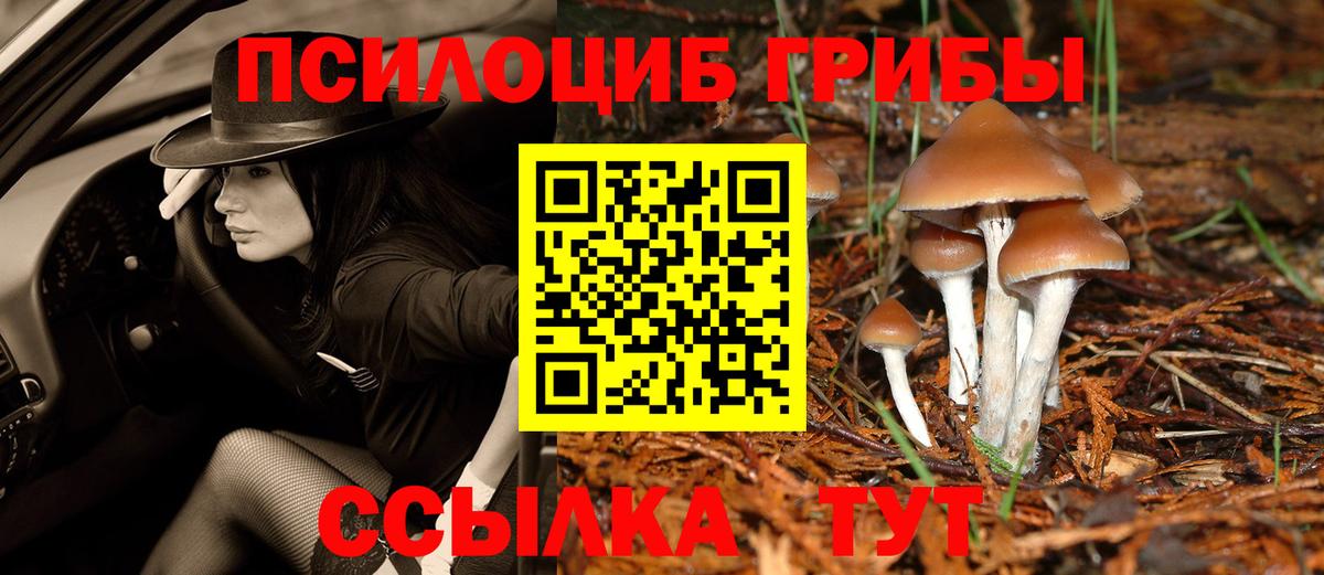 Галлюциногенные грибы прущие грибы Елизово